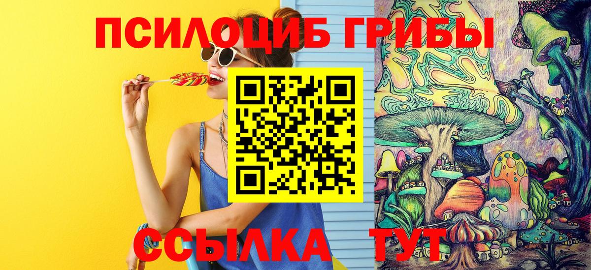 Псилоцибиновые грибы Magic Shrooms Гай